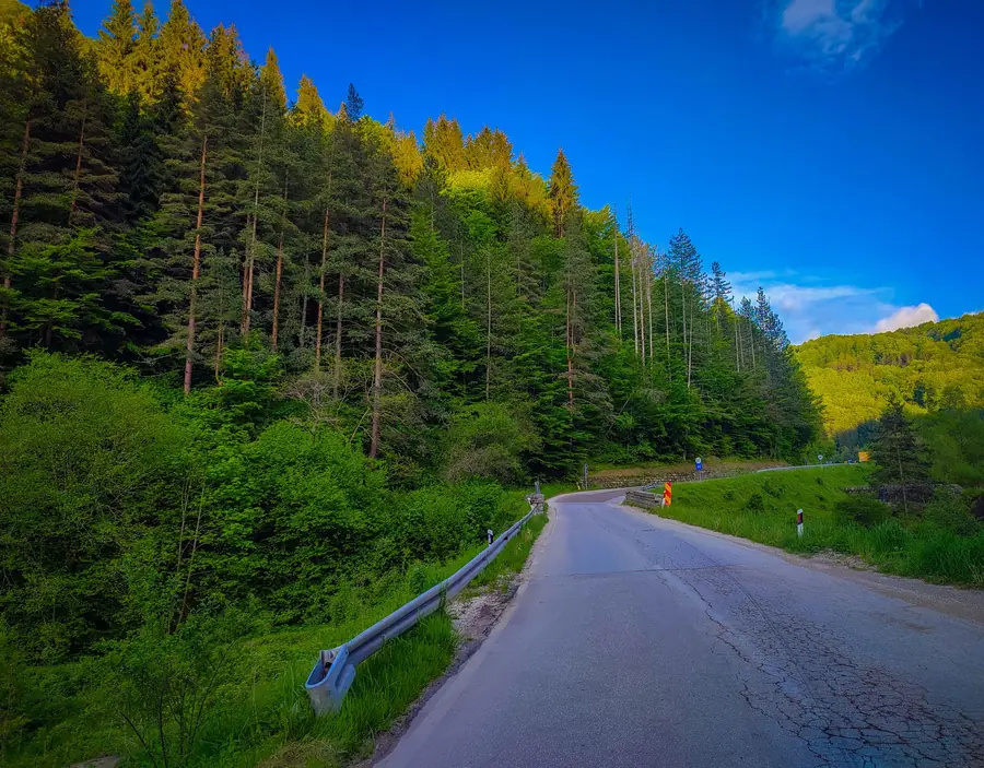 Drum de munte în Apuseni