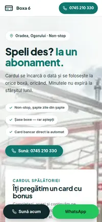 Aceeași pagină pe telefon