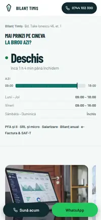 Aceeași pagină pe telefon