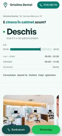 Aceeași pagină pe telefon