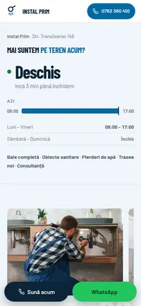 Aceeași pagină pe telefon