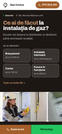 Aceeași pagină pe telefon