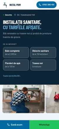 Aceeași pagină pe telefon