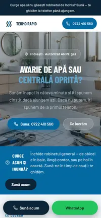 Aceeași pagină pe telefon